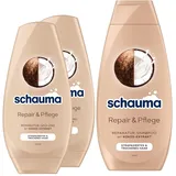 Schauma Shampoo Repair & Pflege (1x 400 ml) Haarshampoo sorgt für Geschmeidigkeit Reparatur-Shampoo für strapaziertes & trockenes Haar & Spülung (2x 250 ml) Haarspülung mit Kokos-Extrakt