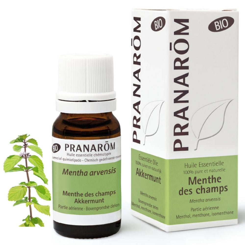 Pranarom science Minze