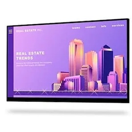 Dell P2422H ohne Standfuß 24"