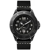 ICE-Watch Ice Heritage 001198