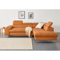 COTTA Ecksofa Chef L-Form, mit Kopfteilverstellung, wahlweise mit Bettfunktion grau 257 cm x 72 cm x 206 cm