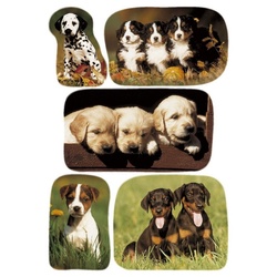 HERMA Etiketten HERMA Sticker DECOR "Hundewelpenfotos"