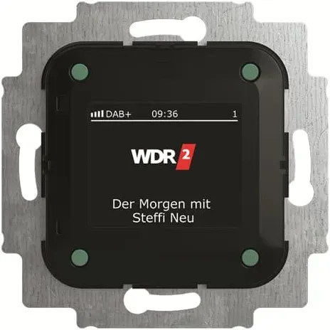 Preisvergleich Produktbild 1St. Busch-Jaeger 8215 U-101 Busch-Radio DAB+ 2CKA008200A0275