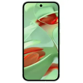Google Pixel 9 256 GB Wintergreen