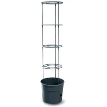 Prosperplast Tomatentopf Rankhilfe Anzuchttopf für Tomate Grower Pflanzkübel aus Kunststoff in Anthrazit (L) x 29,5 cm