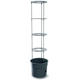 Prosperplast Tomatentopf Rankhilfe Anzuchttopf für Tomate Grower Pflanzkübel aus Kunststoff in Anthrazit (L) x 29,5 cm