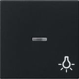 Gira Wippe mit Kontrollfenster und Symbol Licht, schwarz matt (0674 005)