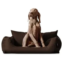 Tierlando NEMO Hundebett Hundesofa S M L Hundekorb Katzenbett 65 80 100cm braun 65 cm, 20 cm, 50 cm