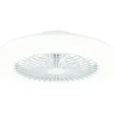 Philips Amigo Deckenleuchte mit Ventilator, LED, 8720169248762,