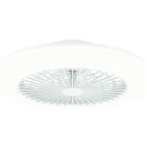Philips Amigo Deckenleuchte mit Ventilator, LED, 8720169248762,