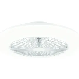 Philips Amigo Deckenleuchte mit Ventilator, LED, 8720169248762,