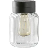 Dehner Solar-Glas Rania