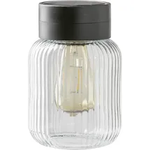 Dehner Solar-Glas Rania