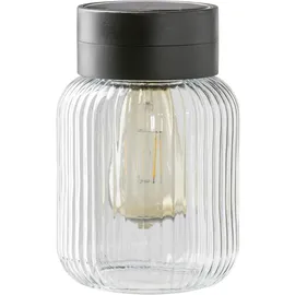 Dehner Solar-Glas Rania