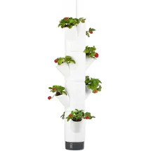 Gusta Garden Sissi Strawberry Erdbeerturm 27 x 77 cm Weiß