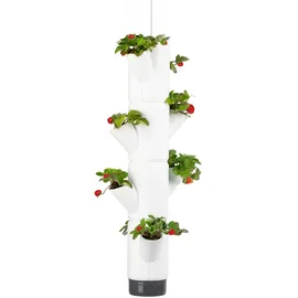 Gusta Garden Sissi Strawberry Erdbeerturm 27 x 77 cm Weiß