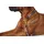 Hunter Sansibar Rantum Hundehalsband Grau L