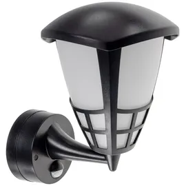 ChiliTec TELARANA (CT23581) Schwarz