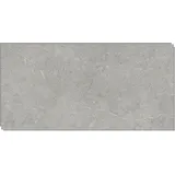 IZODEKOR – SPC Wandpaneel Betonoptik/Natursteinoptik Grau 60x120cm – 1 Stück – Wasserfest, Kratzfest, Hitzebeständig Spritzschutz – SPC Wandverkleidung für Küche & Bad - Stein Grau