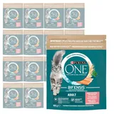 Purina One Bifensis Adult 15x800g Trockenfutter für Katzen mit Lachs