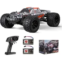 Vevor Ferngesteuertes Auto, RC-Auto im Maßstab 1:14, All-Terrain-4WD-Offroad-Monstertruck mit