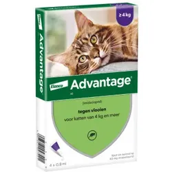 Advantage Nr. 80 Flohmittel (ab 4 kg) Katze 1 Packung