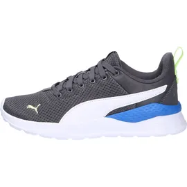 Puma Anzarun Lite Jr Herren Weite M Grau/Weiß 38