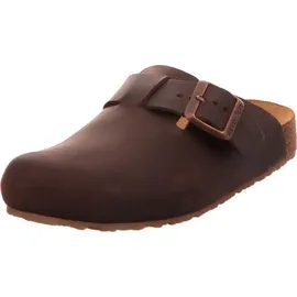 HAFLINGER Porto Dunkelbraun 43
