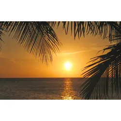 Fototapete PAPERMOON "SONNENUNTERGANG-PALMEN STRAND MEER SEE OZEAN KARIBIK", bunt, B:3,00m L:2,23m, Vlies, Tapeten