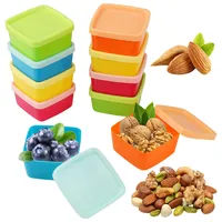 XWCHASA 10er-Set Kunststoff Gefrierdosen Klein, Aufbewahrungsbox, Kleine Snack-Aufbewahrung, Mini-Aufbewahrung, Vorratsdosen Set, Plastikdosen mit Deckel, Gefrierdosen Set (Quadratisch)
