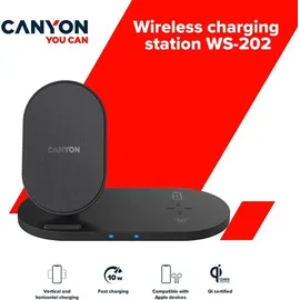 Canyon WS-202 Schwarz