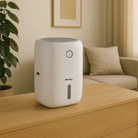 ruhhy Raumentfeuchter Luftentfeuchter Schlafzimmer Entfeuchter Elektrisch 800ml 16439 - Weiß