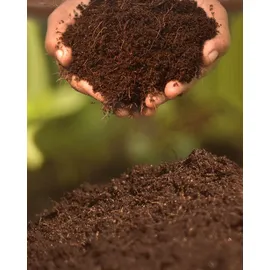 Biovita Kokosnussfaser für Pflanzen und Blumen 10 mm 5l