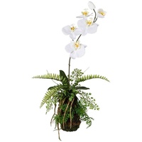 Kunstpflanze Orchideen-Arrangement KAVIC, Weiß, Kunststoff, Gasper, Höhe 48 cm braun|weiß