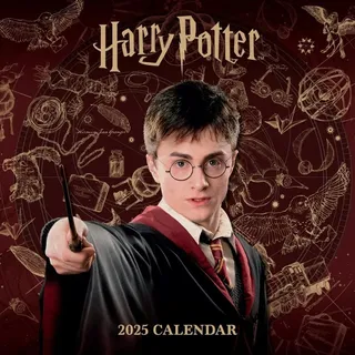 Danilo Promotions Ltd Kalender Harry Potter 2025