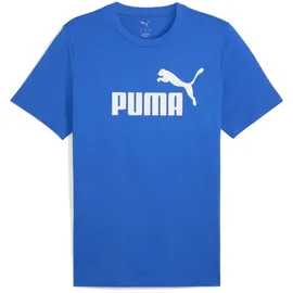 Puma No. 1 Logo Bergblau M