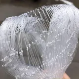 Oracra Vogelschutznetz Weißes Vogelschutznetz Zum Schutz Von Obst und Gemüse, Transparentes Teichnetz, Schmetterlingsnetz, Pflanzenschutznetz für Bäume Und Büsche(3x6m/10x20ft)