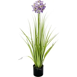I.GE.A. Kunstblume, im Topf I.GE.A. violett