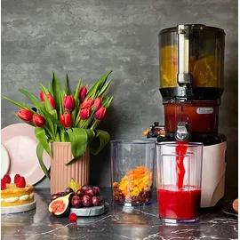 Kuvings AUTO10 Slow Juicer light silver