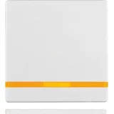 Berker Wippe Linsen 16216089