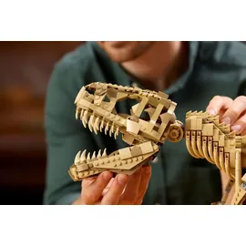LEGO Dinosaurier-Fossilien: Tyrannosaurus rex 76968