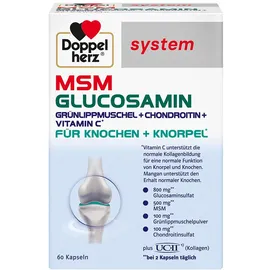 Doppelherz System MSM Glucosamin Kapseln 60 St.
