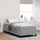 vidaXL Boxspringbett 100 x 200 cm Hellgrau