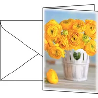 Sigel 10 SIGEL Grußkarten Ranunculus DIN A6