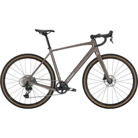 Trek Checkpoint ALR 5 Bronze Age S