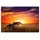 cover-your-desk Schreibtischunterlage für Kinder und Erwachsene Delfine im Sonnenuntergang, aus hochwertigem Vinyl , 60 x 40 cm