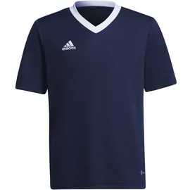 adidas Entrada 22 Trikot Kinder tenabl 116