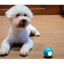 Cheerble Small Wicked Se Ball - Blue - One Size