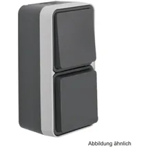 Berker Kombination Wechselschalter/Steckdose grau 1 St.