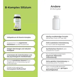 Biostile B-Complex + Silicium Kapseln 60 St.